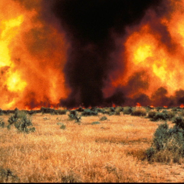 A wildfire decimates the plains of the midwest.