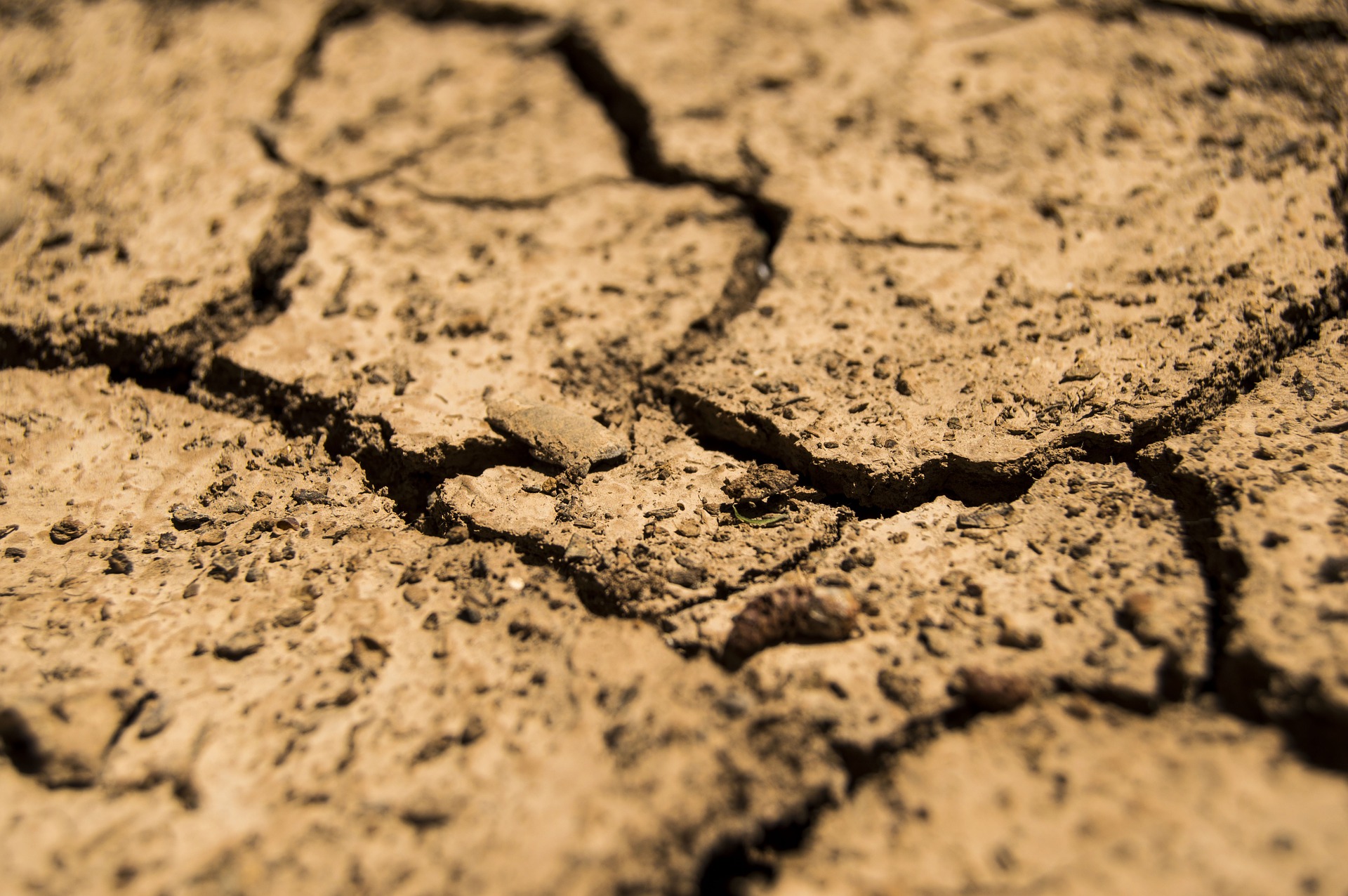 Dry cracked earth in heat stricken areas of drought
