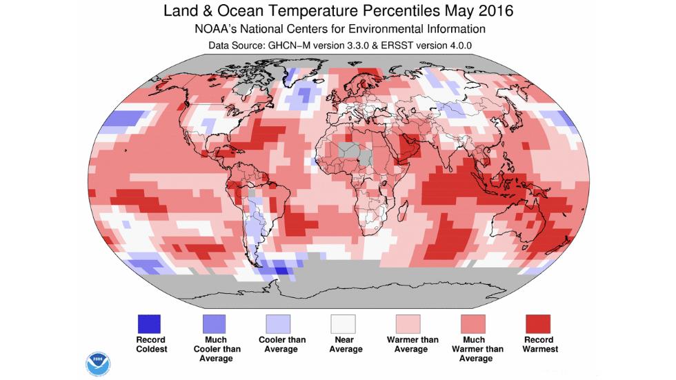 Land and ocean temperature percentiles may 2016