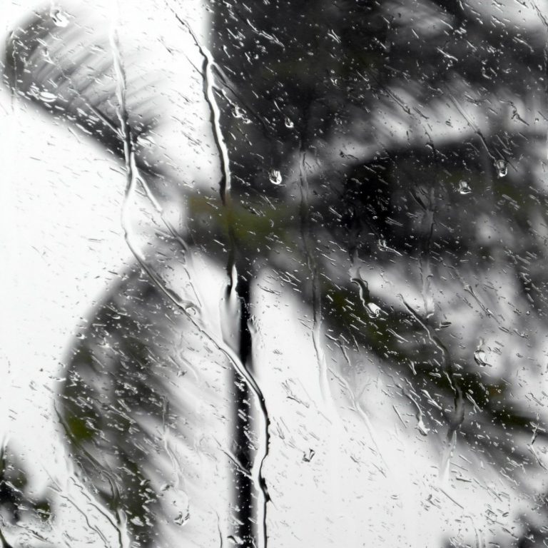 Window is covered in rain from a hurricane, palm tree is out of focus.