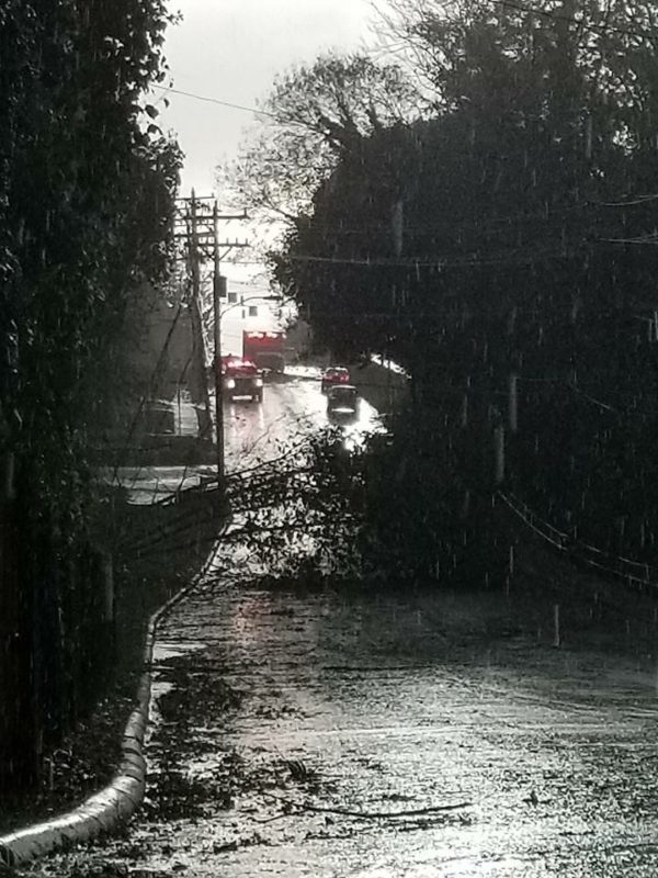 Many roads were blocked after the storm.