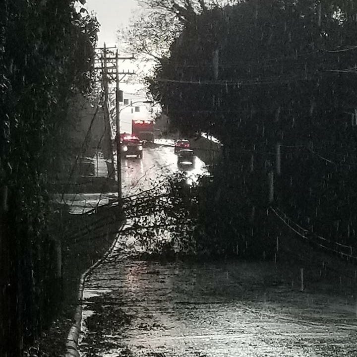 Many roads were blocked after the storm.