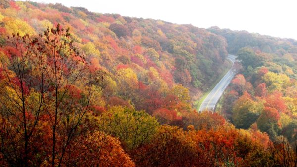 A view of a mountain road in autumn.