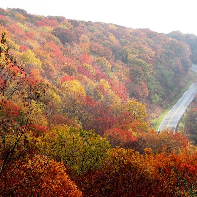 A view of a mountain road in autumn.