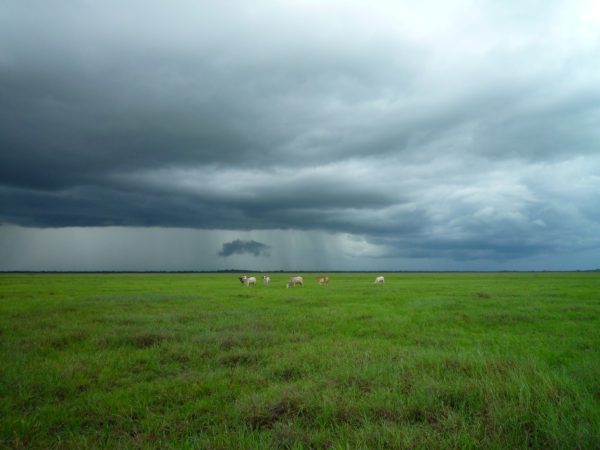 clear field with storm brewing