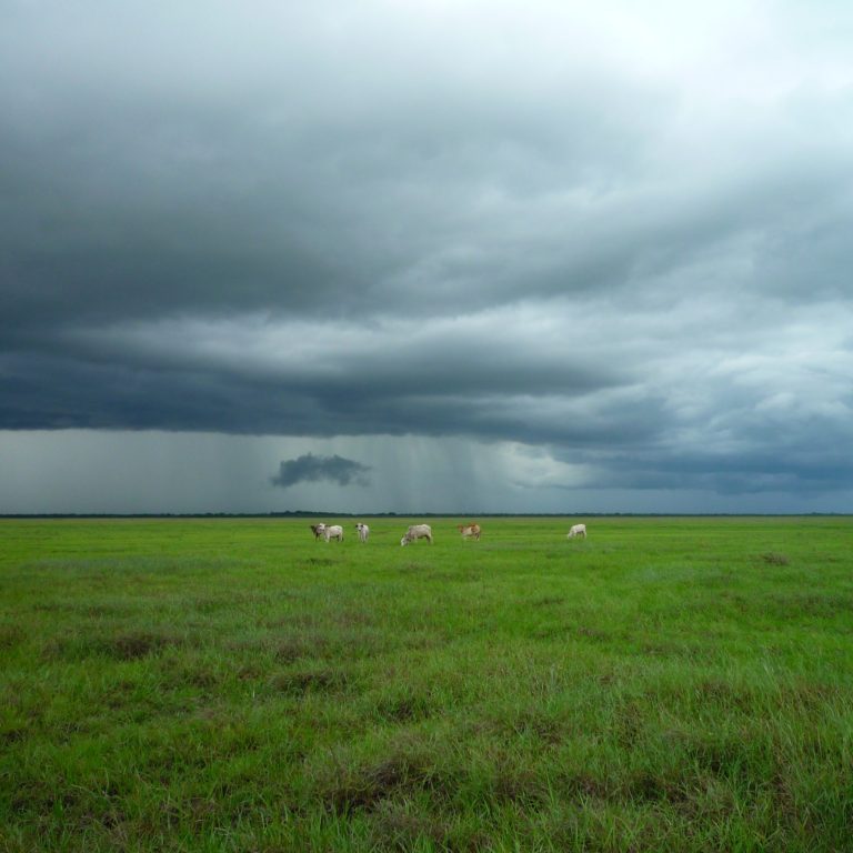 clear field with storm brewing